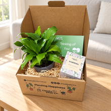 Load image into Gallery viewer, Peace Lily &amp; Candle Gift Box
