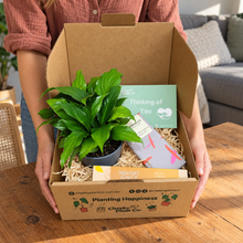 Load image into Gallery viewer, Peace Lily Condolence Gift Box
