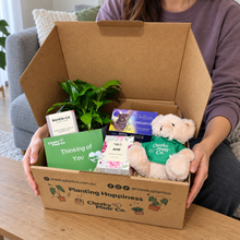 Load image into Gallery viewer, Peace Lily Thinking of You Gift Box
