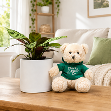 Load image into Gallery viewer, Potted Plant and Bear Gift - 120mm - Sydney Only
