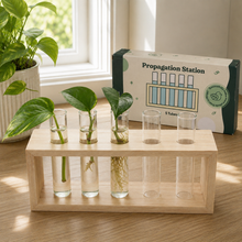 Load image into Gallery viewer, Propagation Station - 5 Tubes - Cheeky Plant Co.

