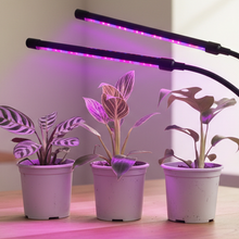Load image into Gallery viewer, Plants with grow light on wooden table

