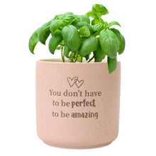 Load image into Gallery viewer, Amazing - Positive Plant Pot
