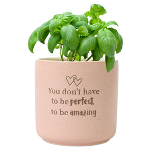 Amazing - Positive Plant Pot