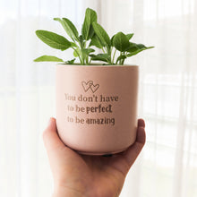 Load image into Gallery viewer, Amazing - Positive Plant Pot
