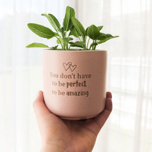 Amazing - Positive Plant Pot