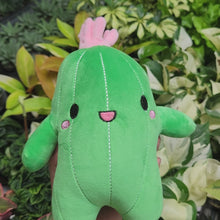 Load and play video in Gallery viewer, Happy Cactus Plushie
