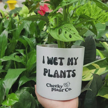 Load and play video in Gallery viewer, I Wet My Plants - Cheeky Plant Co. Pot - 12.5cmD x 12cmH

