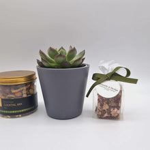 Load and play video in Gallery viewer, Thank You So Much - Succulent Gift Box
