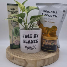 Load and play video in Gallery viewer, I Wet My Plants - Plant Gift Hamper - Sydney Only

