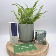 Load and play video in Gallery viewer, Sage Housewarming Plant Gift Hamper - Sydney Only

