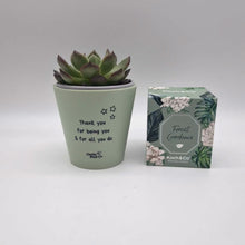 Load and play video in Gallery viewer, Thank You For All You Do - Succulent Gift Box
