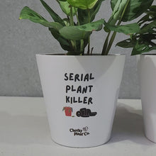 Load and play video in Gallery viewer, Serial Plant Killer - Cheeky Plant Co. Pot - 13.5cmD x 11.5cmH
