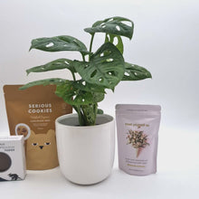 Load and play video in Gallery viewer, Loving You - Plant Gift Hamper - Sydney Only
