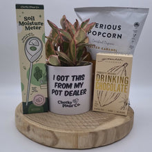 Load and play video in Gallery viewer, I Got This - Plant Gift Hamper - Sydney Only
