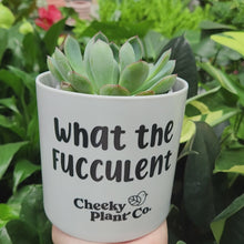 Load and play video in Gallery viewer, What the Fucculent - Cheeky Plant Co. Pot - 12.5cmD x 12cmH
