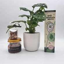 Load and play video in Gallery viewer, Happy Housewarming Plant Gift Hamper - Sydney Only
