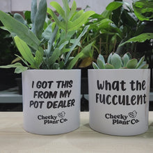 Load and play video in Gallery viewer, Trio Pack - Funny - Cheeky Plant Co. Pots - 12.5cmD x 12cmH
