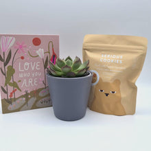 Load and play video in Gallery viewer, Love You - Succulent Gift Box
