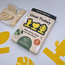 Load and play video in Gallery viewer, Gnat Today - Fungus Gnat Traps (Pack of 12) - Cheeky Plant Co.
