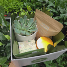 Load and play video in Gallery viewer, Deepest Sympathy Gift Hamper with Succulent - Sydney Only

