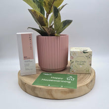 Load and play video in Gallery viewer, Pink Housewarming Plant Gift Hamper - Sydney Only
