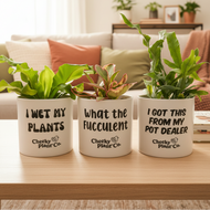 Trio Assorted Indoor Plants in Funny Pots (12.5cmD x 12cmH)