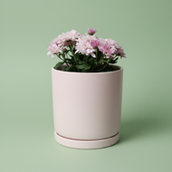 Pink Flowers - Assorted Plant in 180mm Pink Pot - Sydney Only