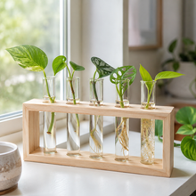 Load image into Gallery viewer, Propagation Station - 5 Tubes - Cheeky Plant Co.

