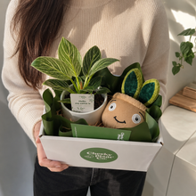 Load image into Gallery viewer, Potted Plant and Plant Plushie Gift - 120mm - Sydney Only
