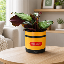 Load image into Gallery viewer, Soil Mate - Cheeky Plant Co. Pot -12.5cmD x 12cmH
