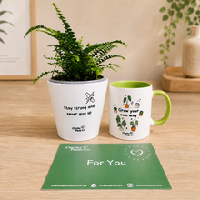 Load image into Gallery viewer, Positive Motivation - Plant Gift Box
