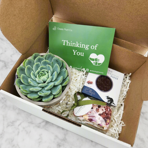 sympathy succulent gift Comforting Sympathy Gift Box | Condolence & Sympathy Gift