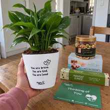 Load image into Gallery viewer, Peace Lily Sympathy Gift Box
