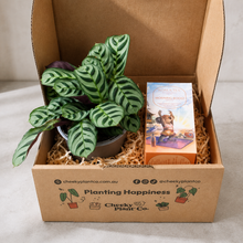 Load image into Gallery viewer, Tea &amp; Plant Gift Box
