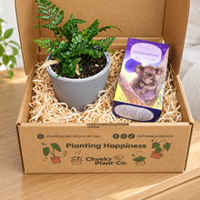 Load image into Gallery viewer, Tea &amp; Plant Gift Box
