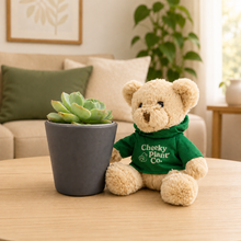 Load image into Gallery viewer, Teddy Bear &amp; Succulent Gift Box
