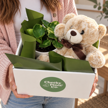 Load image into Gallery viewer, Potted Plant and Bear Gift - 120mm - Sydney Only
