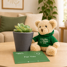 Load image into Gallery viewer, Teddy Bear &amp; Succulent Gift Box
