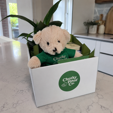 Load image into Gallery viewer, Thinking of You Plant Hamper - Sydney Only
