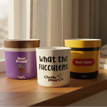 Load image into Gallery viewer, Three empty pots with homely background
