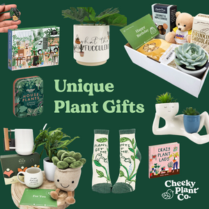 Unique Plant Gifts