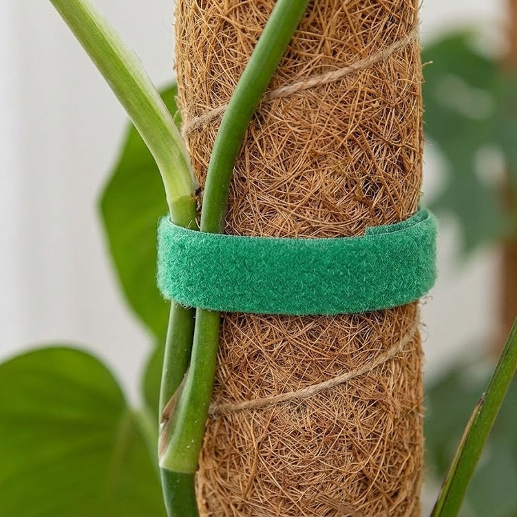 plant ties for moss pole Velcro Plant Ties