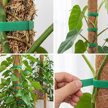 Load image into Gallery viewer, Velcro Plant Ties
