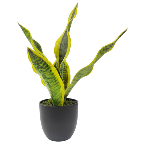 Faux Plant - Mother in-laws Tongue / Snake Plant 34cm