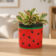 Load image into Gallery viewer, Watermelon - Cheeky Plant Co. Pot -12.5cmD x 12cmH
