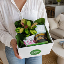 Load image into Gallery viewer, Wedding / Engagement - Plant Gift Hamper - Sydney Only
