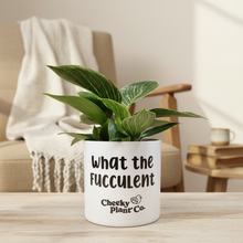 Load image into Gallery viewer, Philodendron Potted Houseplant - CHOOSE YOUR CHEEKY POT
