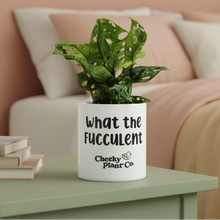 Load image into Gallery viewer, What The Fucculent - Warm Daytime
