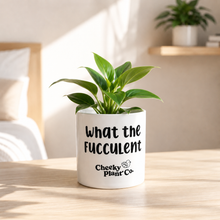 Load image into Gallery viewer, Assorted Indoor Plant in 'What the Fucculent' Pot (12.5cmDx12cmH) - Sydney Only
